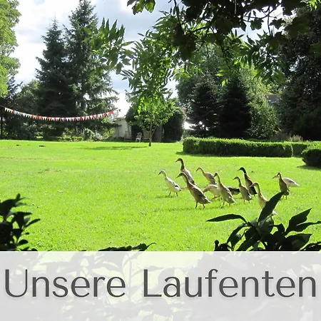 Apartment Gutshaus Volzrade Lubtheen